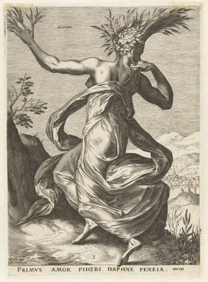 Cornelis Cort - Daphne fine art baskı