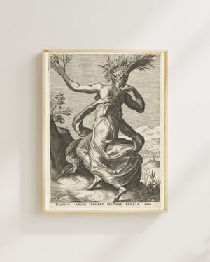 Cornelis Cort - Daphne fine art baskı