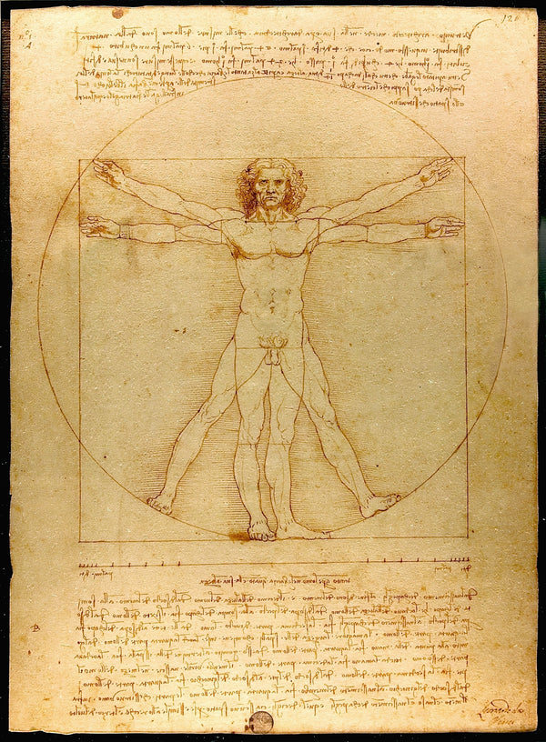 Leonardo da Vinci - Vitruvius Adamı