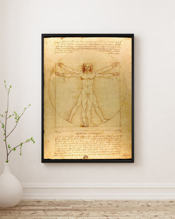 Leonardo da Vinci - Vitruvius Adamı