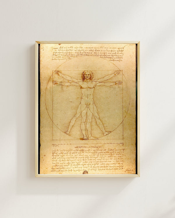 Leonardo da Vinci - Vitruvius Adamı