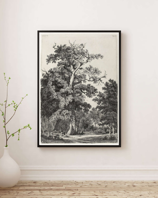 Eugène Bléry - Bois de Boulogne’da Yaşlı Meşe Fine Art Baskı