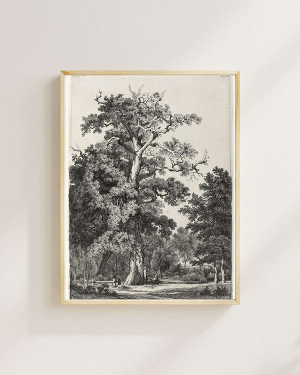 Eugène Bléry - Bois de Boulogne’da Yaşlı Meşe Fine Art Baskı