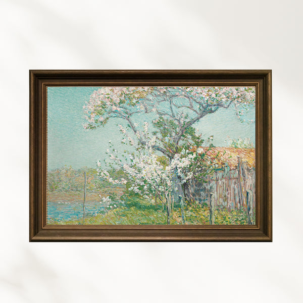 Childe Hassam - Eski Lyme'da Çiçek Açan Elma Ağaçları