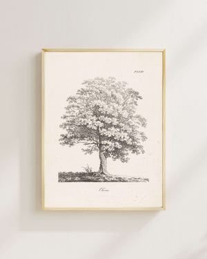 J. Bernard - Meşe Fine Art Baskı