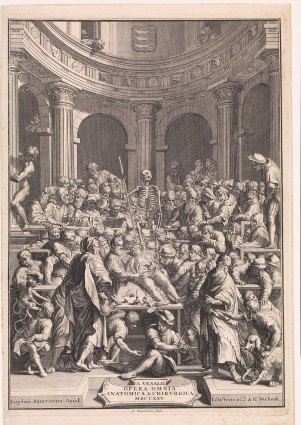 Jan Wandelaar - Anatomi Dersi Tablo