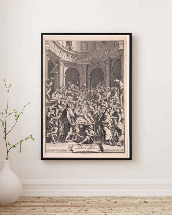 Jan Wandelaar - Anatomi Dersi Poster