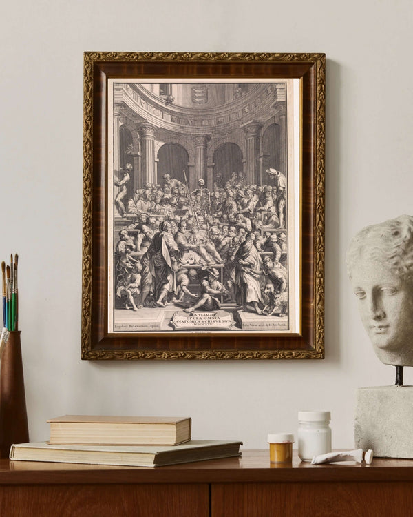 Jan Wandelaar - Anatomi Dersi Çerçeve