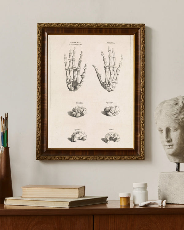 Jan Wandelaar - El Kemiklerinin Anatomik Çalışması fine art baskı