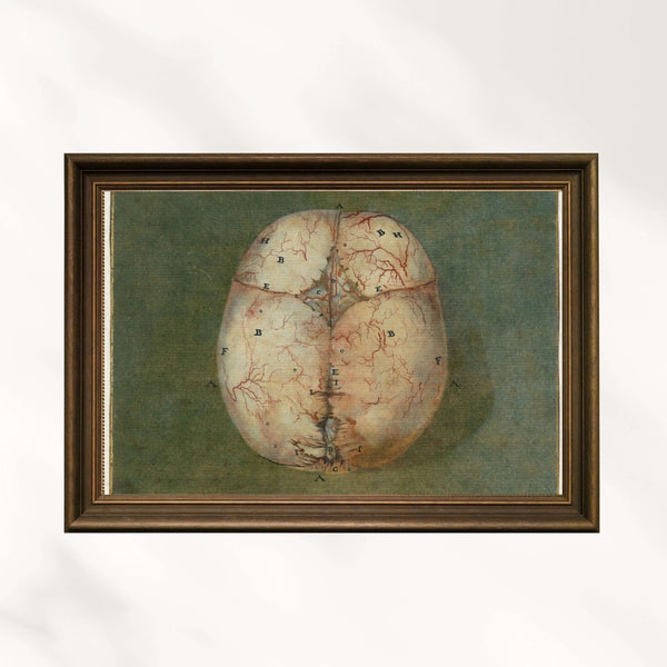 Jan l’Admiral - Beyin ve Kalp Baskıları Fine Art Baskı
