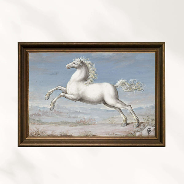 Joris Hoefnagel - Beyaz At Fine Art Baskı