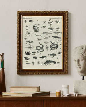 L. van Leer & Co. - Çeşitli Hayvanlar II fine art baskı