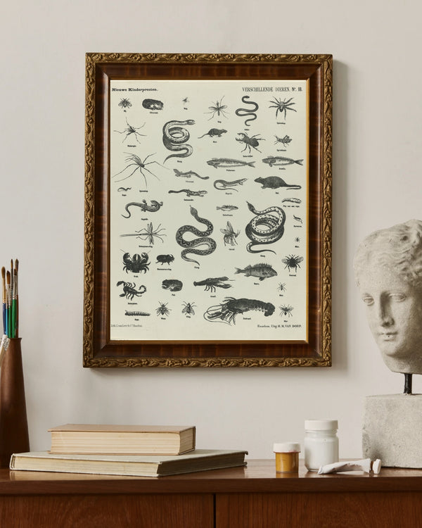 L. van Leer & Co. - Çeşitli Hayvanlar II fine art baskı