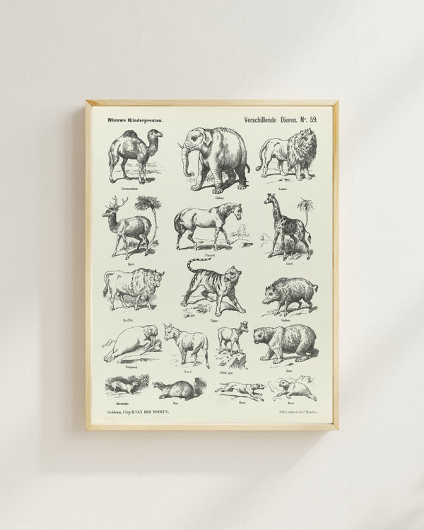 L. van Leer & Co. - Çeşitli Hayvanlar fine art baskı