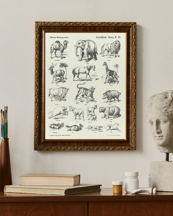 L. van Leer & Co. - Çeşitli Hayvanlar fine art baskı