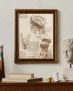 Leonardo da Vinci - Beyin Fizyolojisi Çalışmaları fine art baskı