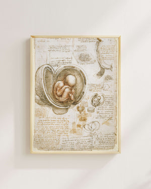 Leonardo da Vinci - Rahimdeki Fetüs Çalışmaları fine art baskı