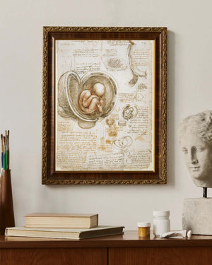 Leonardo da Vinci - Rahimdeki Fetüs Çalışmaları fine art baskı