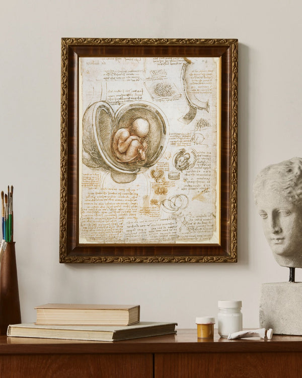 Leonardo da Vinci - Rahimdeki Fetüs Çalışmaları