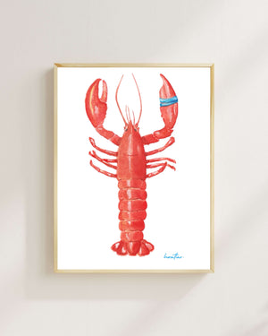 Hazal Türer - Lobster fine art baskı