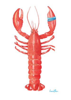 Hazal Türer - Lobster fine art baskı