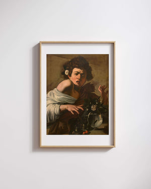 Michelangelo Merisi da Caravaggio - Kertenkele Tarafından Isırılan Çocuk fine art baskı