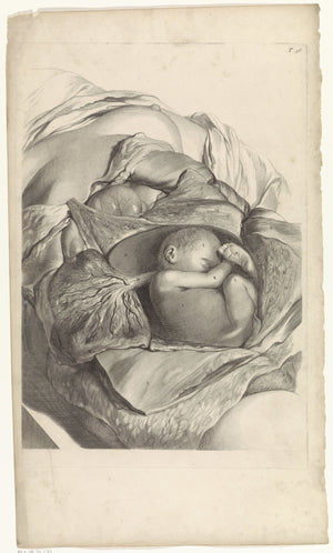 Pieter van Gunst - Rahmin İç Yapısı ve Fetüs Üzerine Anatomik Çalışma fine art baskı