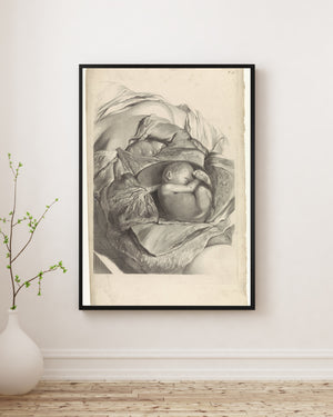 Pieter van Gunst - Rahmin İç Yapısı ve Fetüs Üzerine Anatomik Çalışma fine art baskı