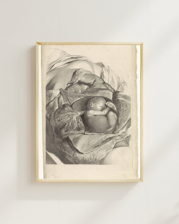 Pieter van Gunst - Rahmin İç Yapısı ve Fetüs Üzerine Anatomik Çalışma fine art baskı