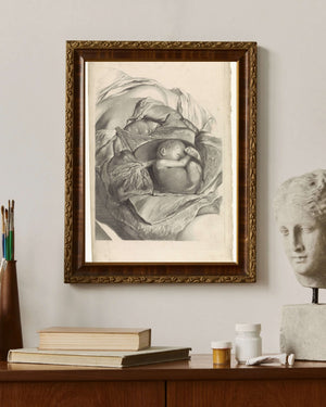 Pieter van Gunst - Rahmin İç Yapısı ve Fetüs Üzerine Anatomik Çalışma fine art baskı