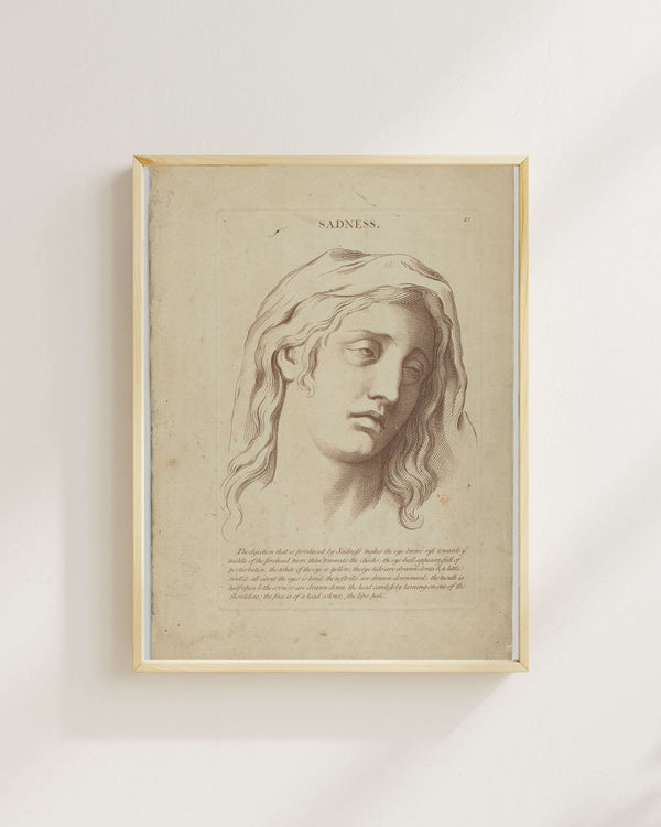 Charles Le Brun - Hüzün Fine Art Baskı