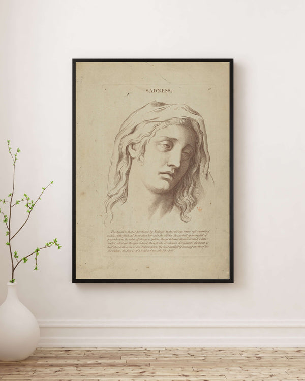Charles Le Brun - Hüzün Fine Art Baskı