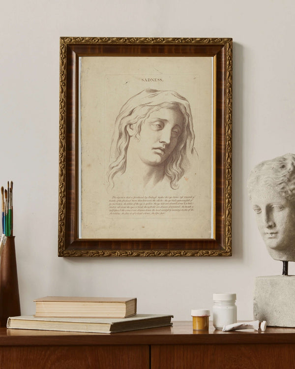 Charles Le Brun - Hüzün Fine Art Baskı