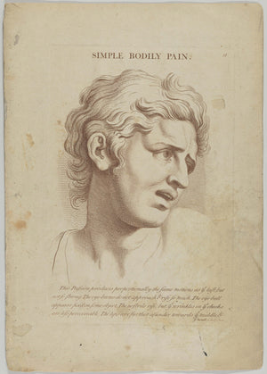 Charles Le Brun - Basit Bedensel Acı Fine Art Baskı
