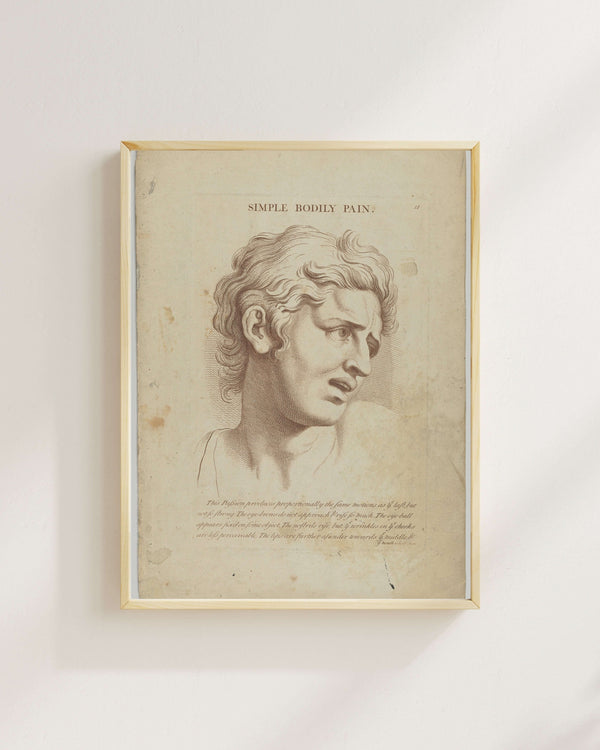 Charles Le Brun - Basit Bedensel Acı Fine Art Baskı
