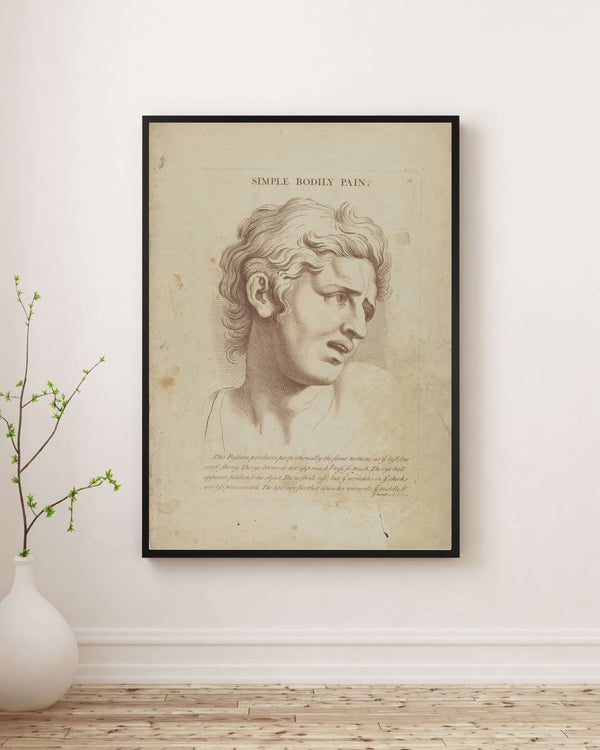Charles Le Brun - Basit Bedensel Acı Fine Art Baskı