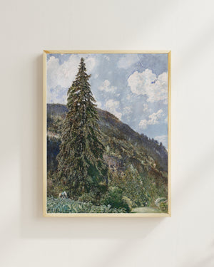 Rudolf von Alt - Old Spruce