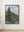 Rudolf von Alt - Old Spruce