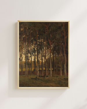 Théophile de Bock - Orman Manzarası