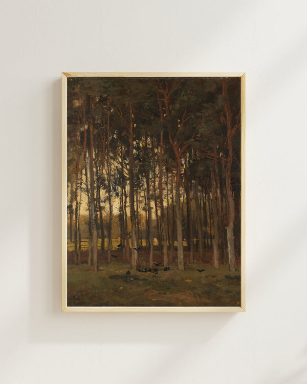 Théophile de Bock - Orman Manzarası