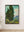 Vincent van Gogh - Selviler Fine Art Baskı