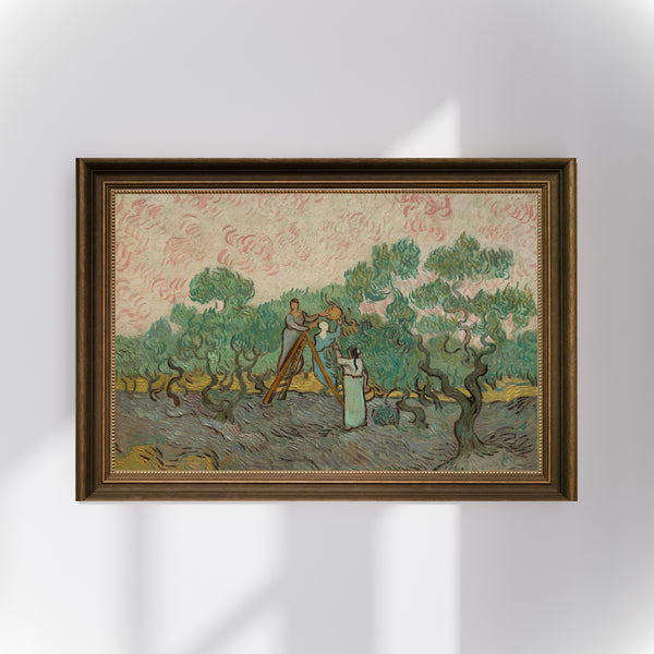 Vincent van Gogh - Zeytin Toplayan Kadınlar fine art baskı