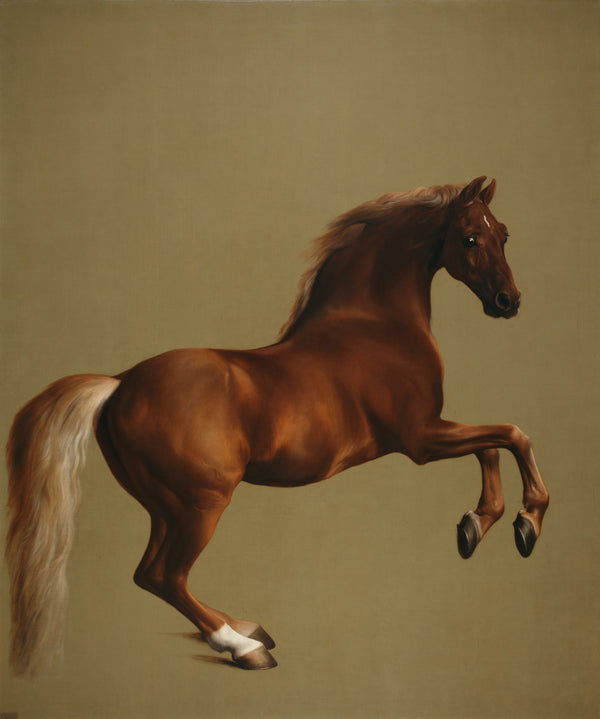 George Stubbs - Whistlejacket