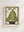 Broncia Koller-Pinell - Potted Plant