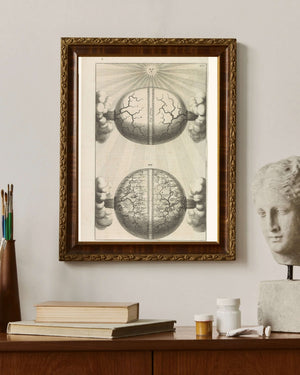 Anonim - İki Dünya Küresi Fine Art Baskı