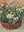Koloman Moser - Basket of Primroses