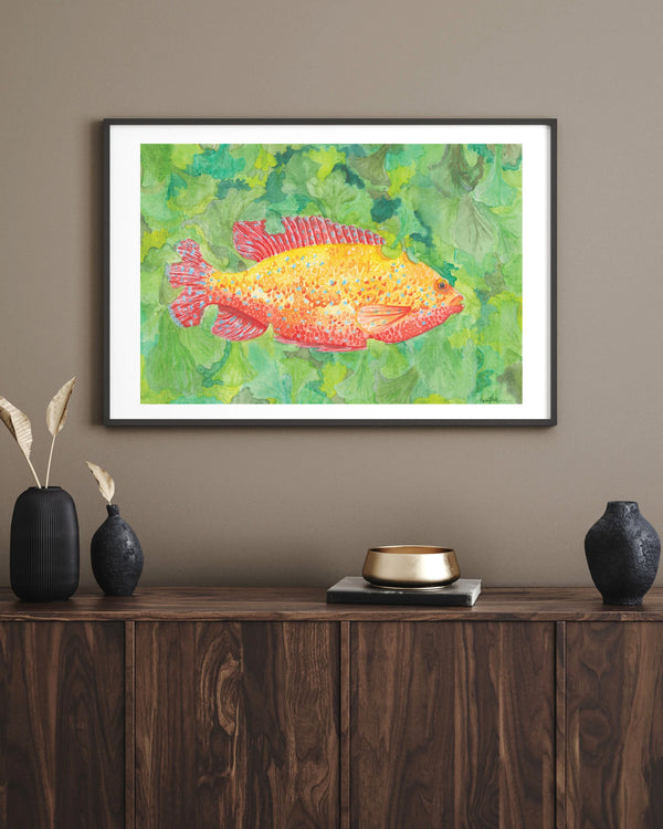 Hazal Türer - Chiclid fine art baskı