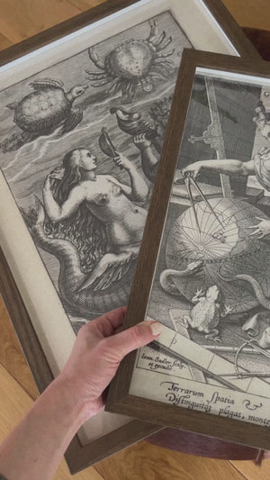 Video 3 trigger image